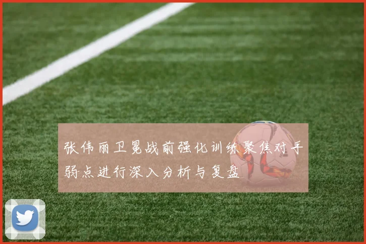 张伟丽卫冕战前强化训练聚焦对手弱点进行深入分析与复盘